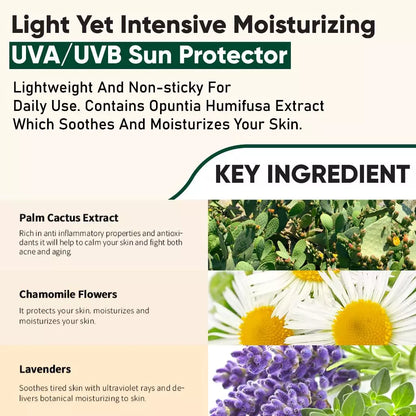 Yadah Oh My Sunscreen SPF35 PA++ (50ml)